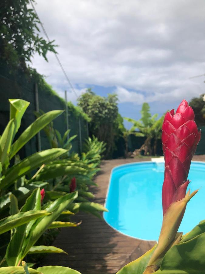 Ducharmoy Lodges Saint-Claude Luaran gambar
